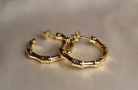 Bamboo Hoops