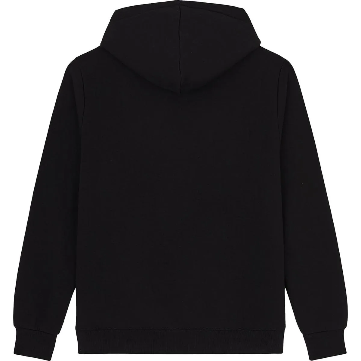 Dickies Icon Logo Hoodie Black