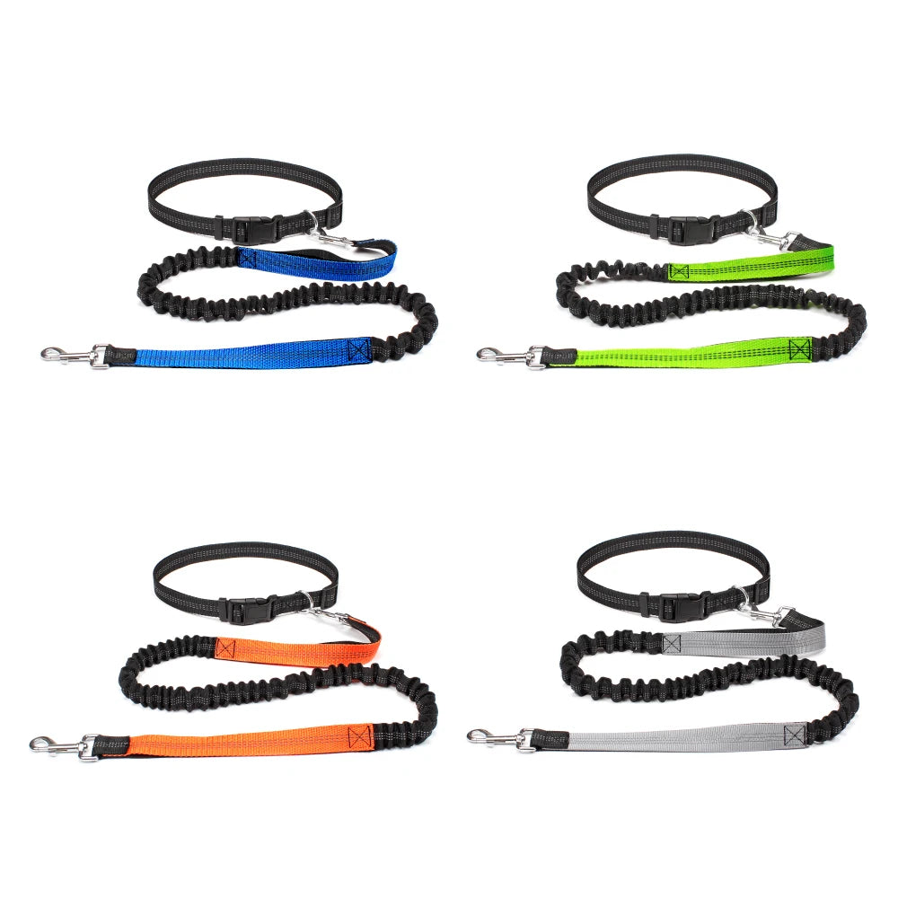 Hands-Free Dog Leash: Walk, Run & Jog with Comfort (Waist Belt & Chest Strap)