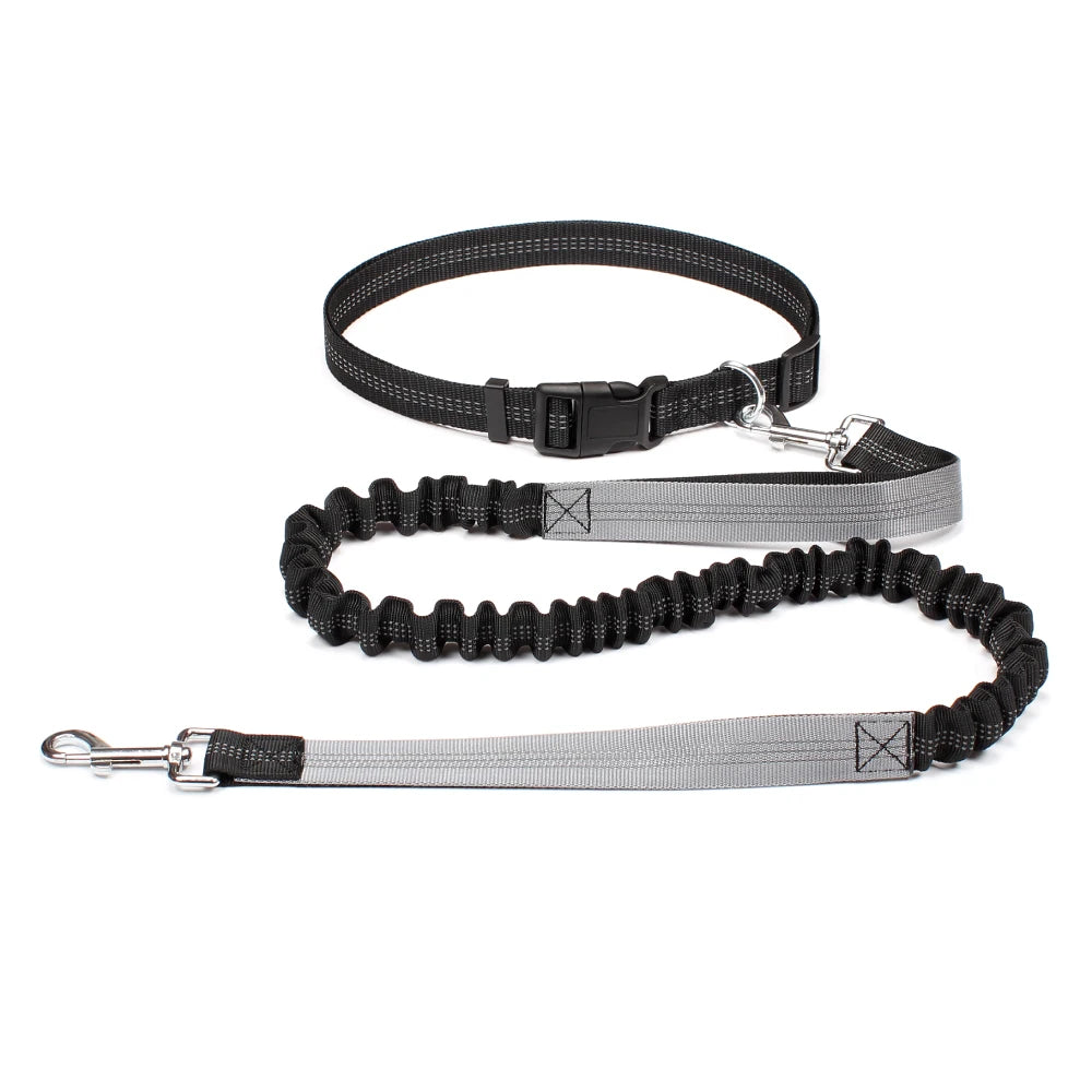 Hands-Free Dog Leash: Walk, Run & Jog with Comfort (Waist Belt & Chest Strap)