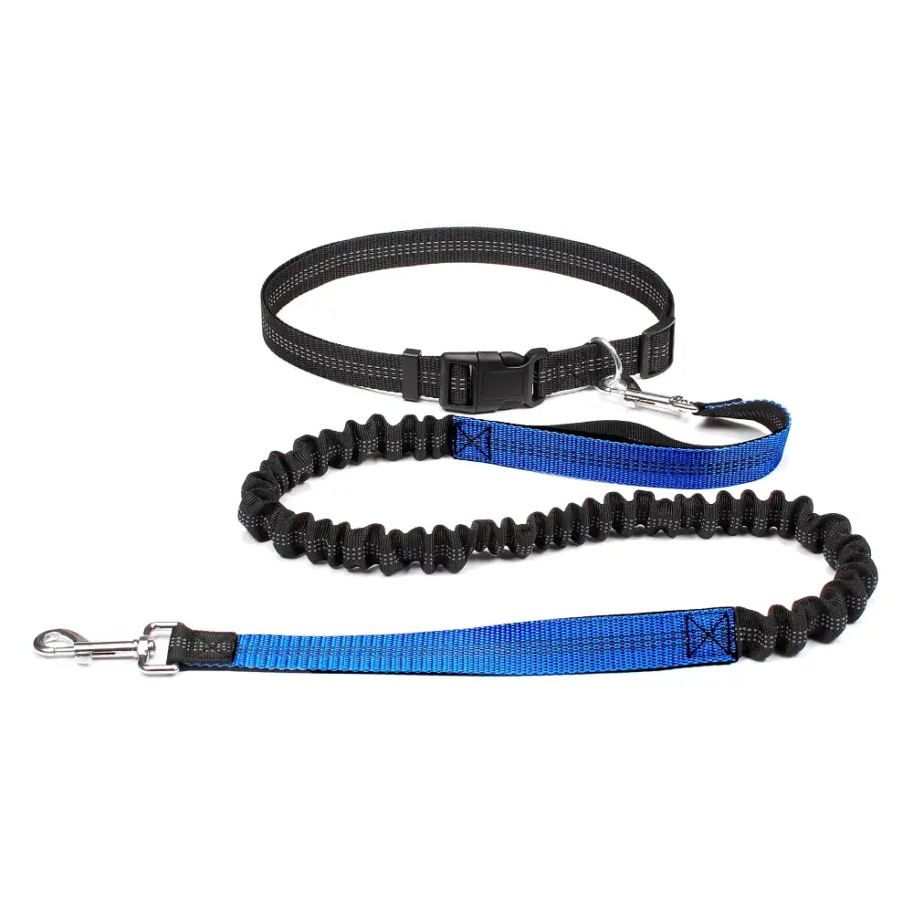 Hands-Free Dog Leash: Walk, Run & Jog with Comfort (Waist Belt & Chest Strap)