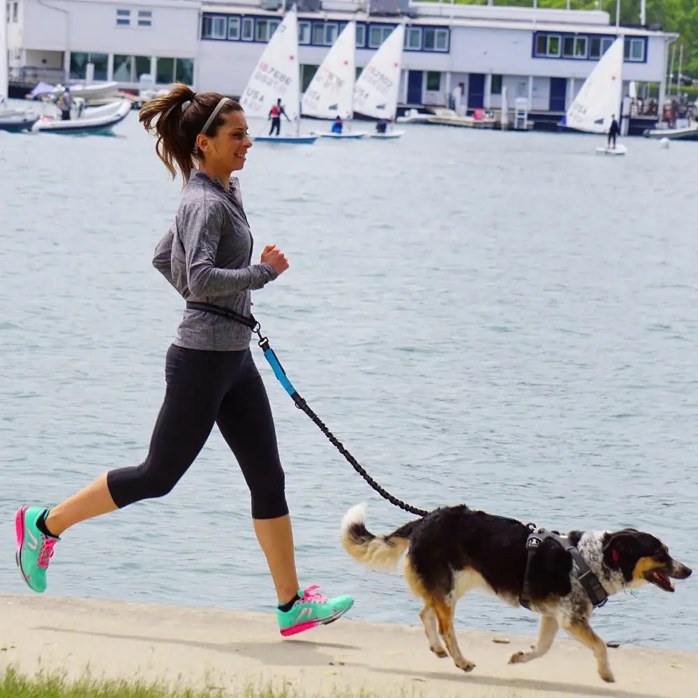 Hands-Free Dog Leash: Walk, Run & Jog with Comfort (Waist Belt & Chest Strap)