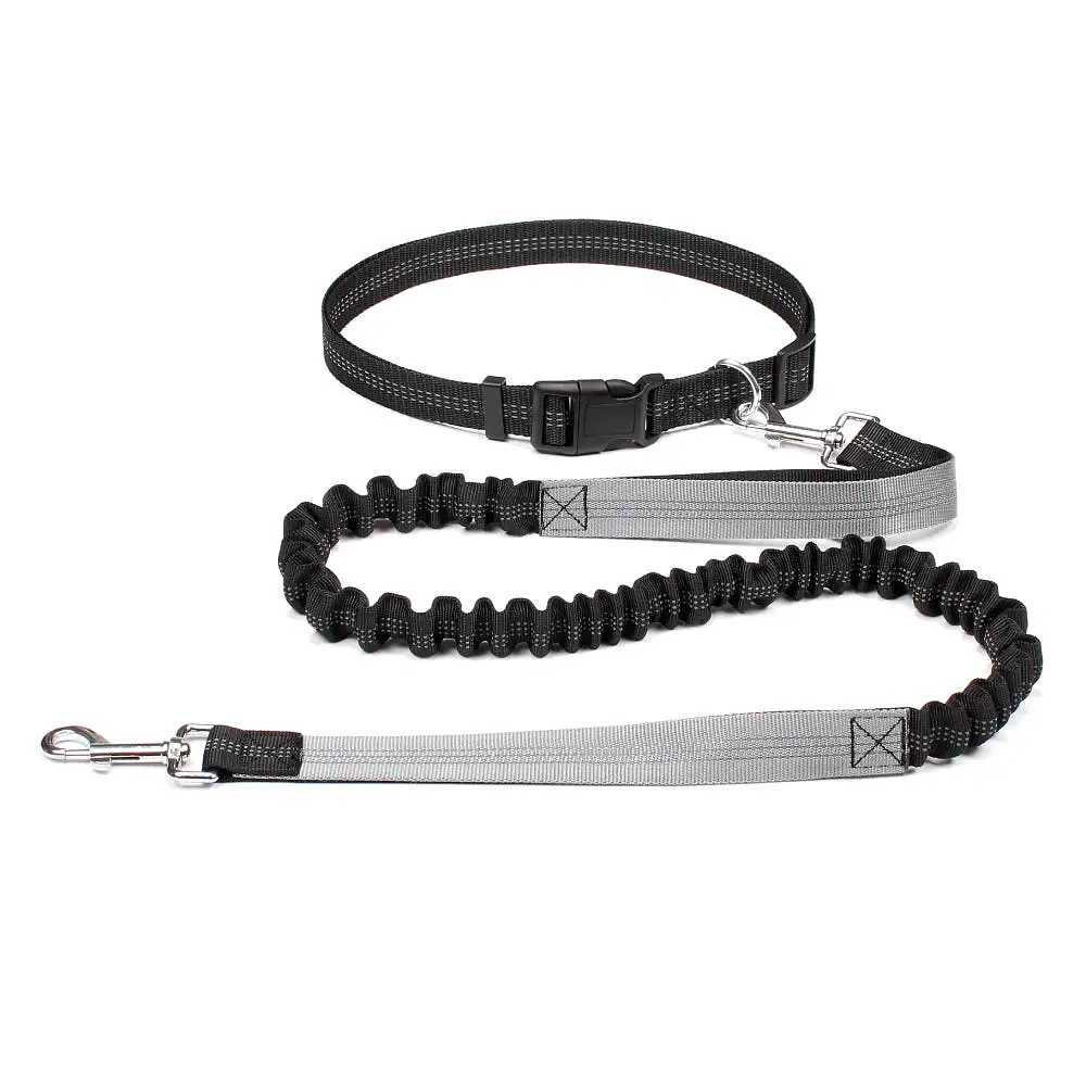 Hands-Free Dog Leash: Walk, Run & Jog with Comfort (Waist Belt & Chest Strap)