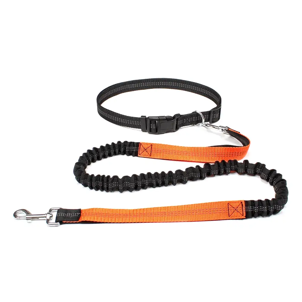 Hands-Free Dog Leash: Walk, Run & Jog with Comfort (Waist Belt & Chest Strap)