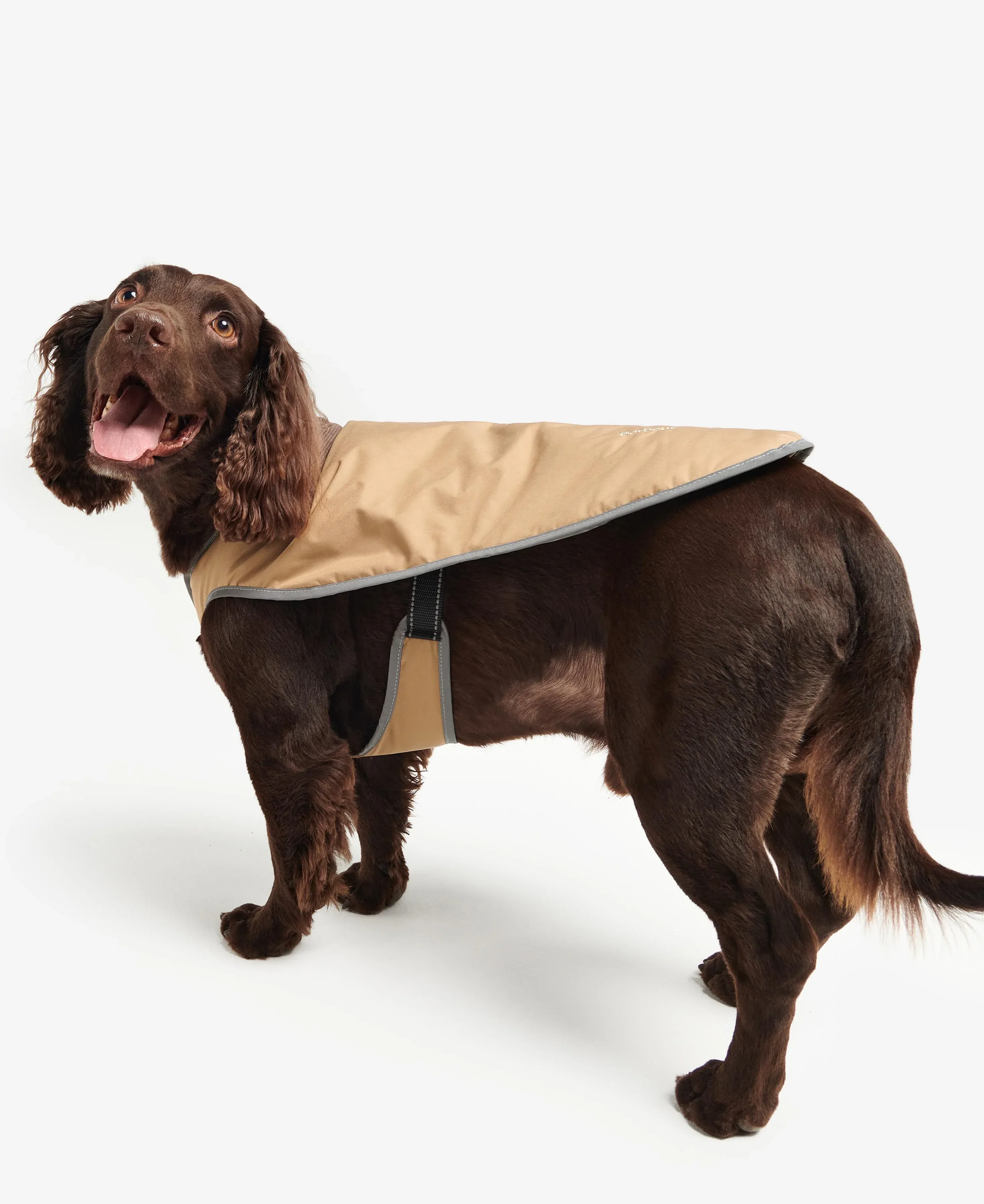 Monmouth Waterproof Dog Coat Trench