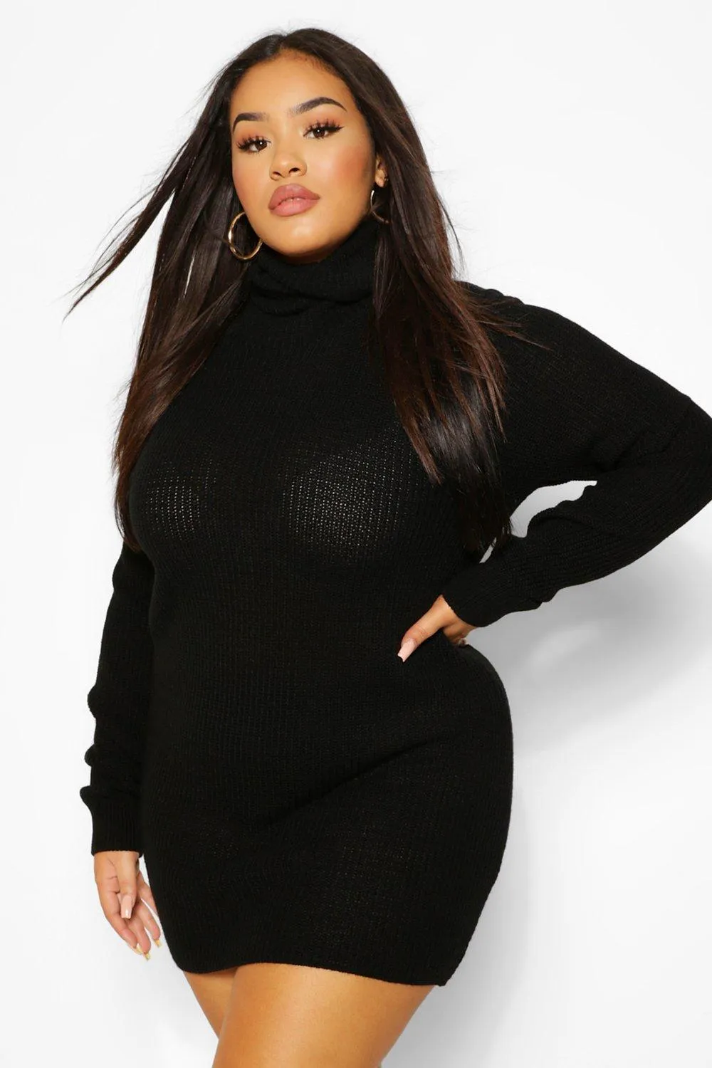 Plus Turtleneck Sweater Dress